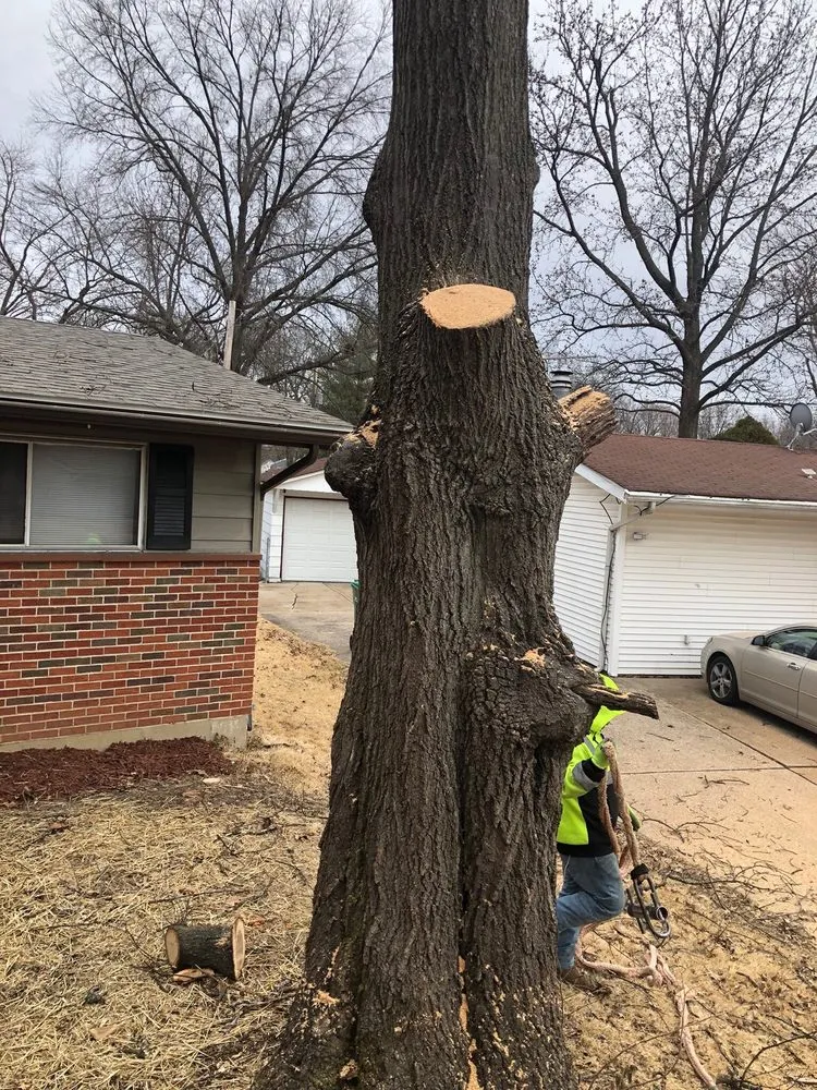 Custom lawn care service with custom design across Florissant, MO - JR Tree and Lawn Care