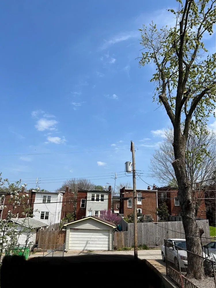 Top-rated lawn mowing service for beautiful yards across Florissant, MO - JR Tree and Lawn Care