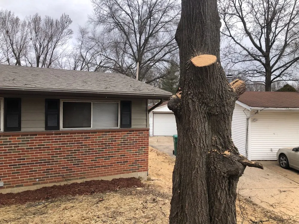 Trusted residential landscaping experts serving Florissant, MO - JR Tree and Lawn Care