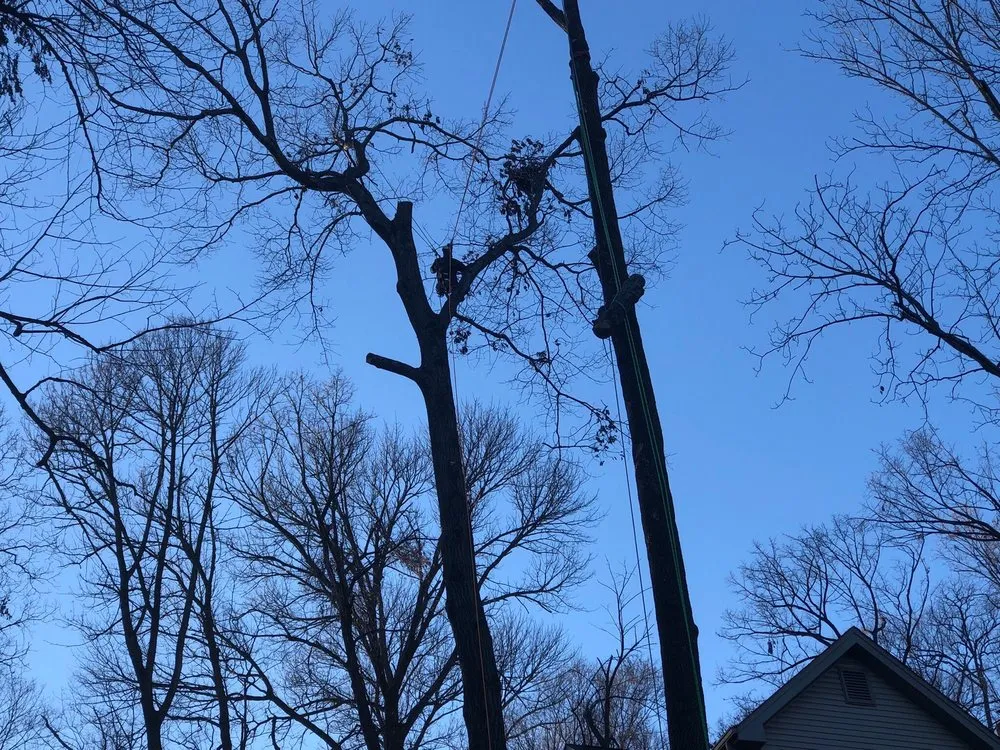 Custom landscaping services in Florissant, MO - JR Tree and Lawn Care