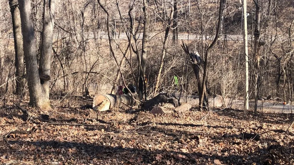 Affordable landscaping services in Florissant, MO by JR Tree and Lawn Care