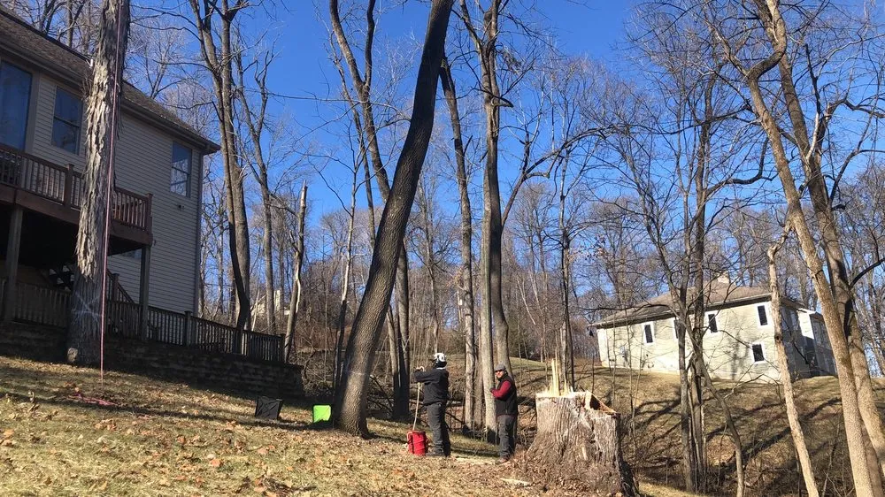 Top-rated yard maintenance in Florissant, MO by JR Tree and Lawn Care