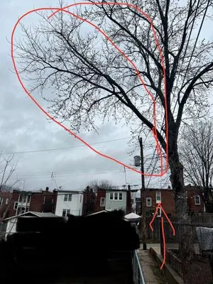 JR Tree and Lawn Care