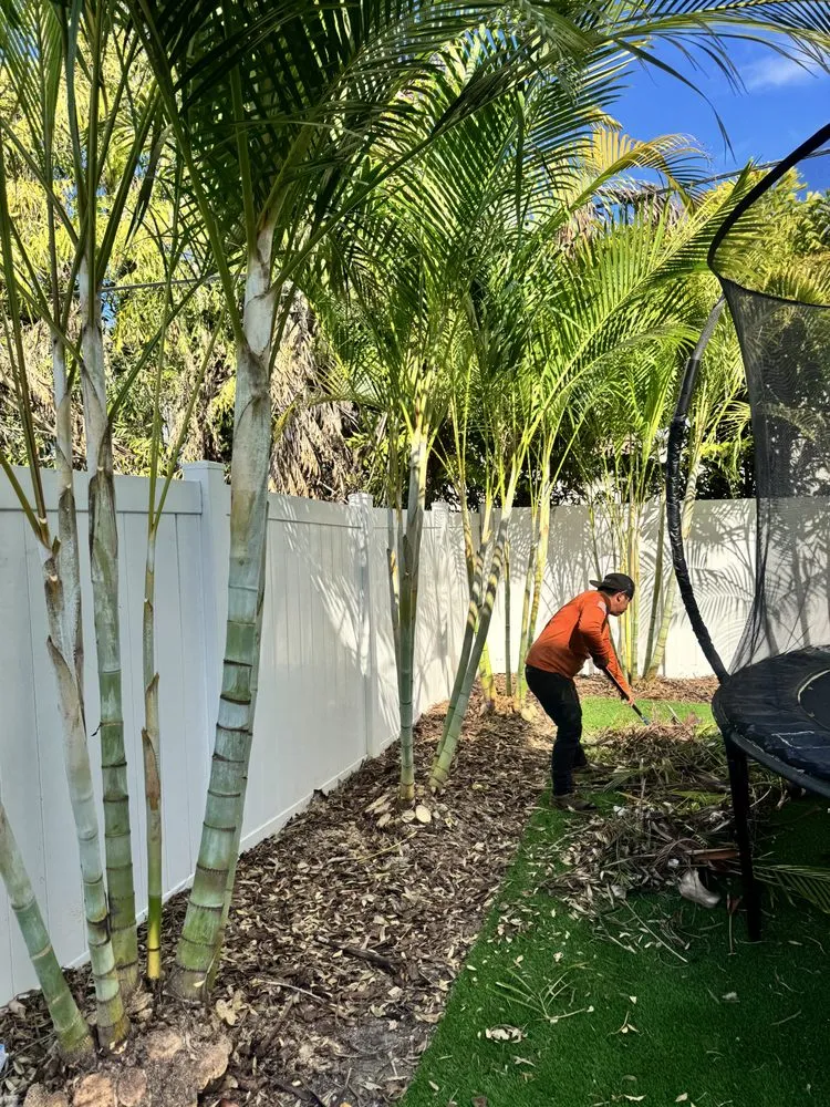 Professional residential landscaping in Tampa, FL by J&R Tree Removal
