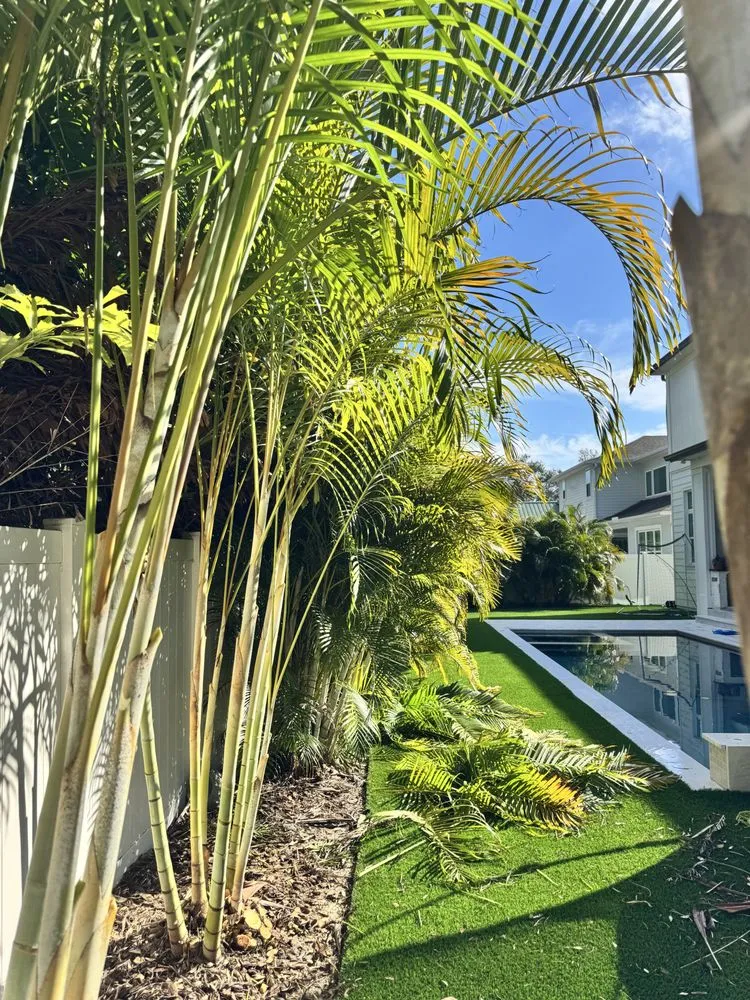 Expert residential landscaping in Tampa, FL - J&R Tree Removal