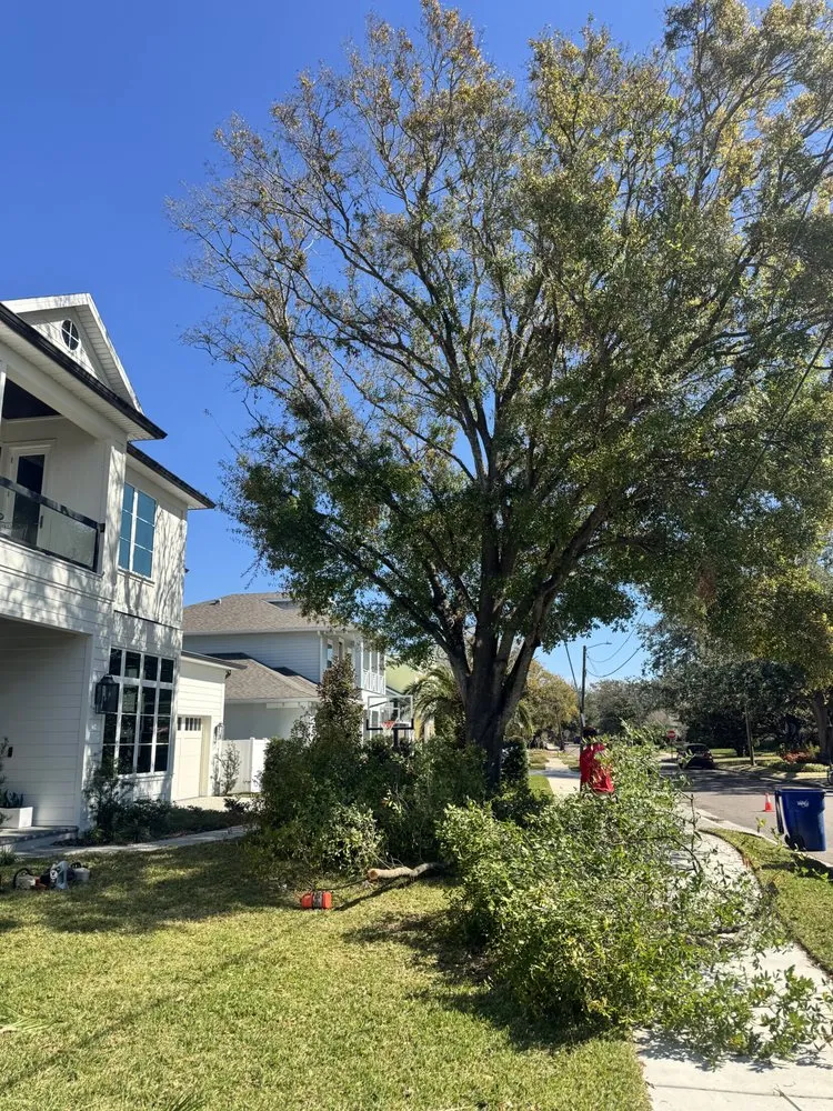 Trusted landscaping services near you across Tampa, FL - J&R Tree Removal