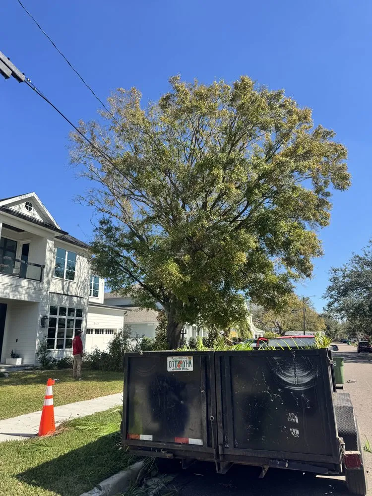 Affordable garden landscaping for homes in Tampa, FL by J&R Tree Removal