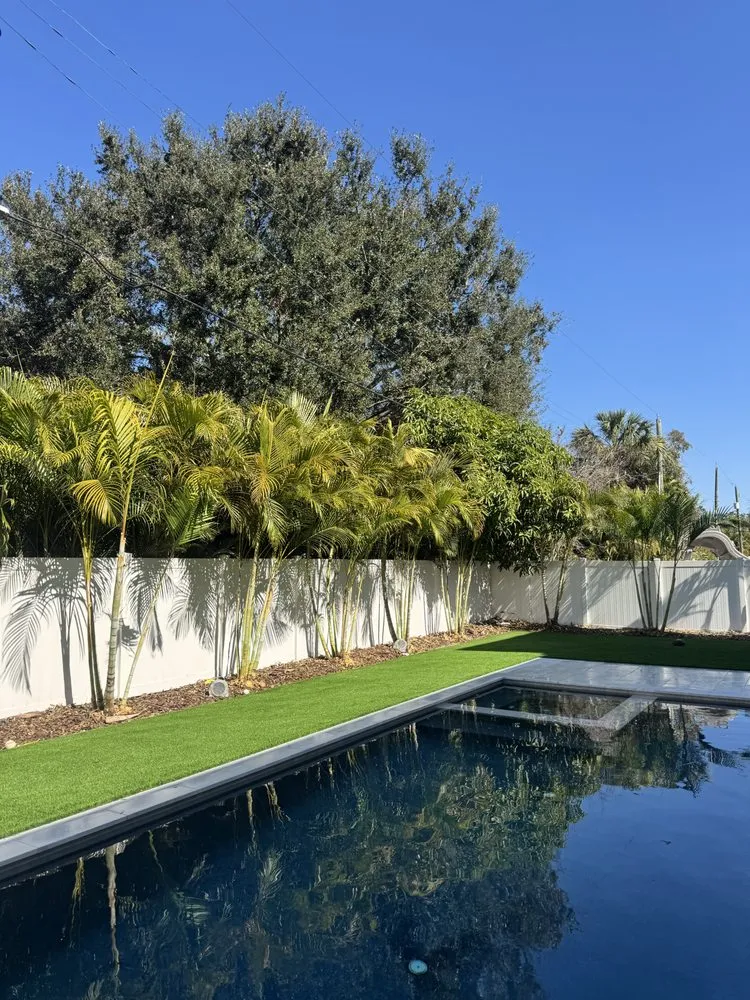 Local yard maintenance experts serving Tampa, FL - J&R Tree Removal