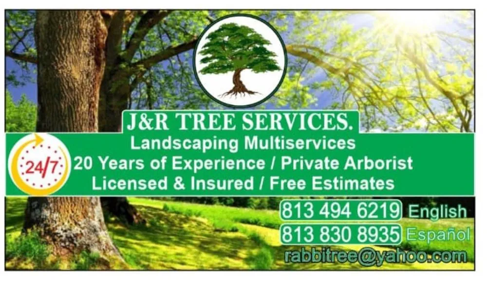Local landscape design in Tampa, FL by J&R Tree Removal