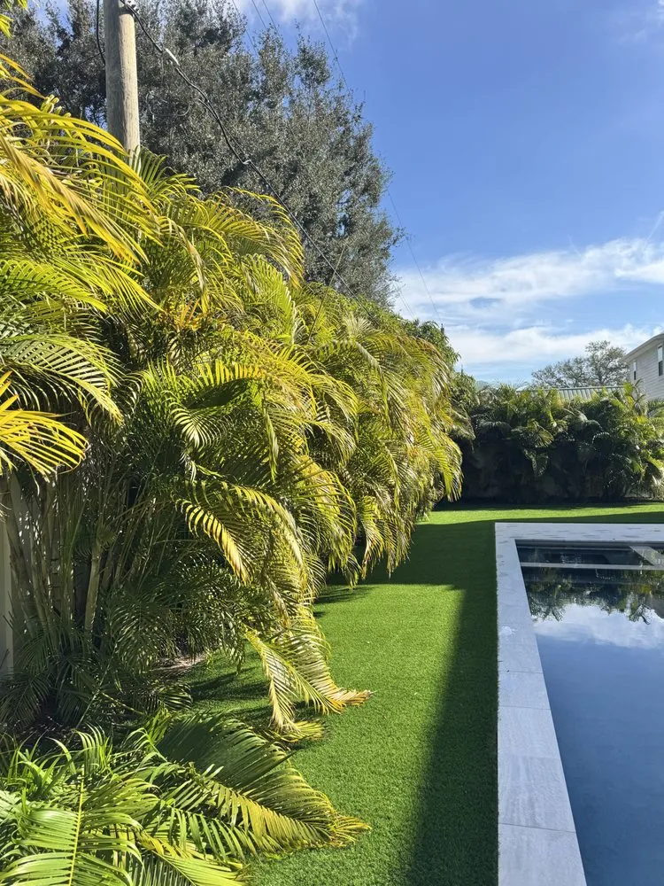 Expert lawn mowing service in Tampa, FL - J&R Tree Removal