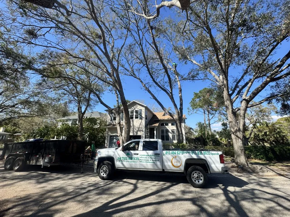 Expert yard cleanup service in Tampa, FL - J&R Tree Removal