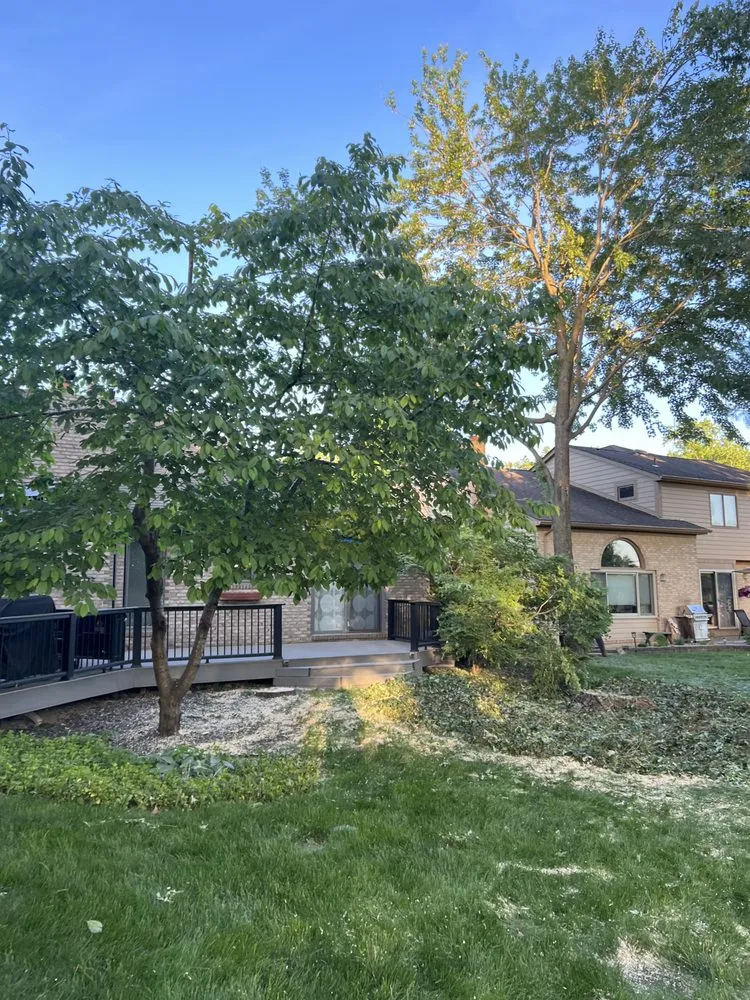 Reliable landscape installation experts serving Utica, MI - J&R Tree Removal