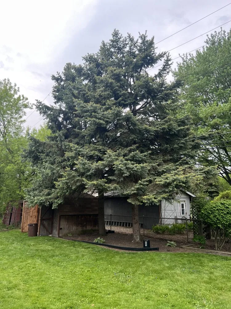 Custom yard cleanup service in Utica, MI - J&R Tree Removal