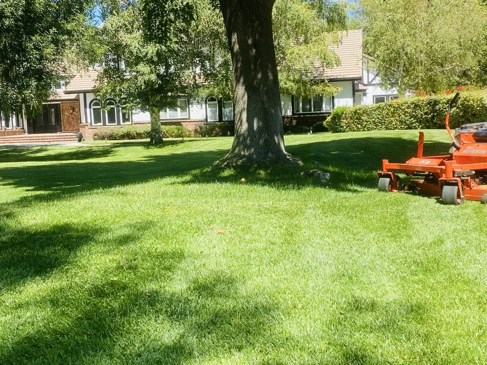 Custom landscaping services in Newhall, CA - JR tree Service and Brush Clearance & landscape