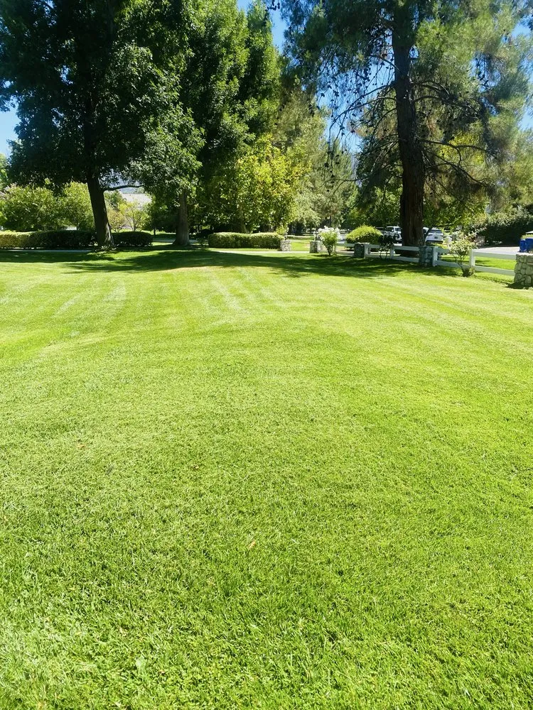Custom landscape design experts serving Newhall, CA - JR tree Service and Brush Clearance & landscape