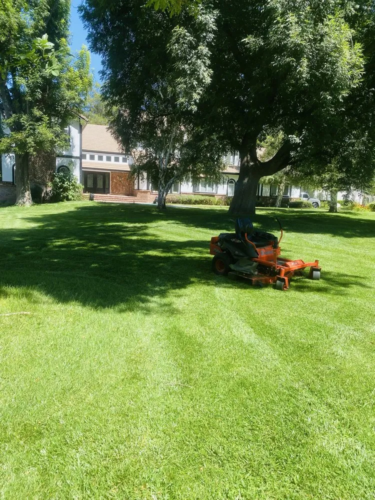 Expert landscape design in Newhall, CA by JR tree Service and Brush Clearance & landscape
