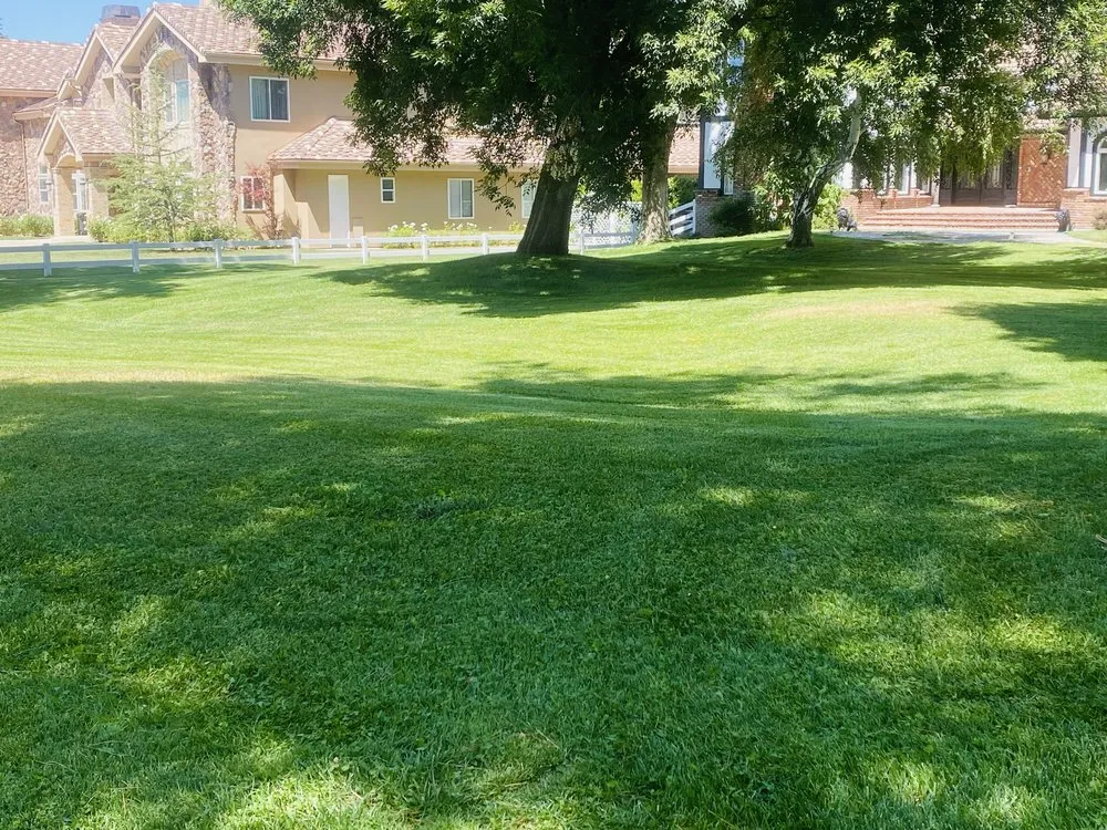 Local yard cleanup service in Newhall, CA - JR tree Service and Brush Clearance & landscape