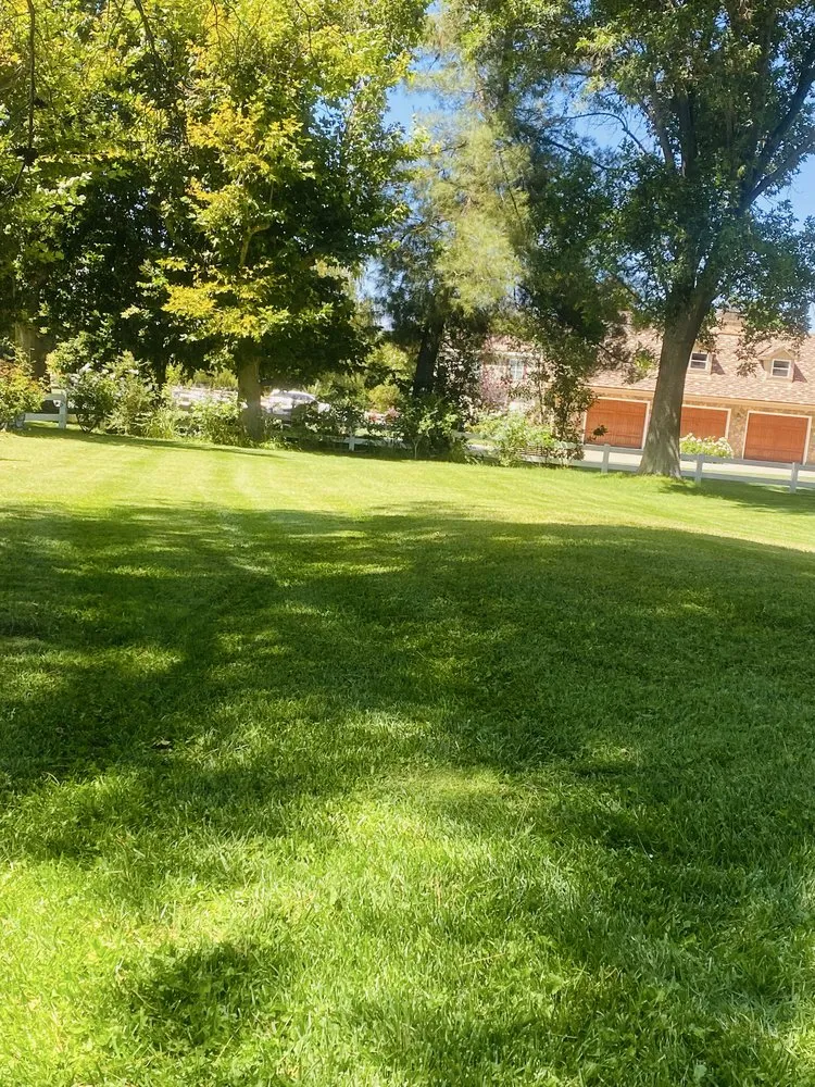 Local yard maintenance for residential properties across Newhall, CA - JR tree Service and Brush Clearance & landscape