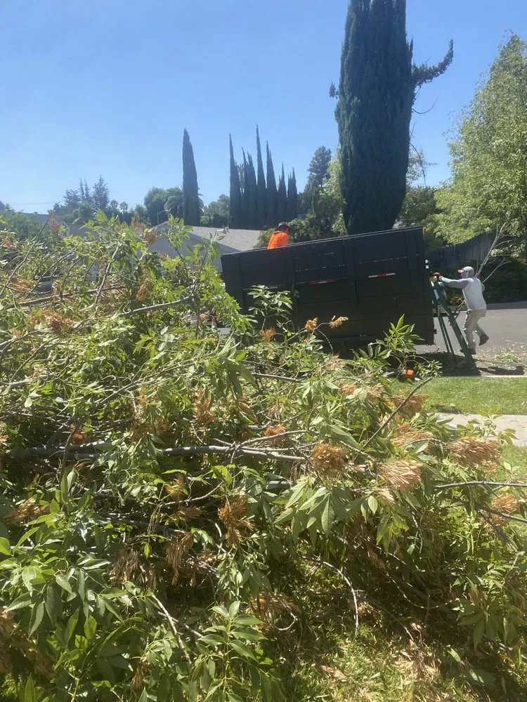 Trusted lawn care service for homes in Newhall, CA by JR tree Service and Brush Clearance & landscape