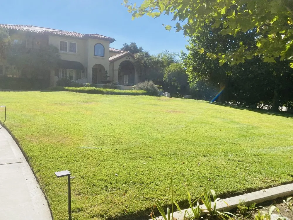 Professional lawn care service experts serving Newhall, CA - JR tree Service and Brush Clearance & landscape