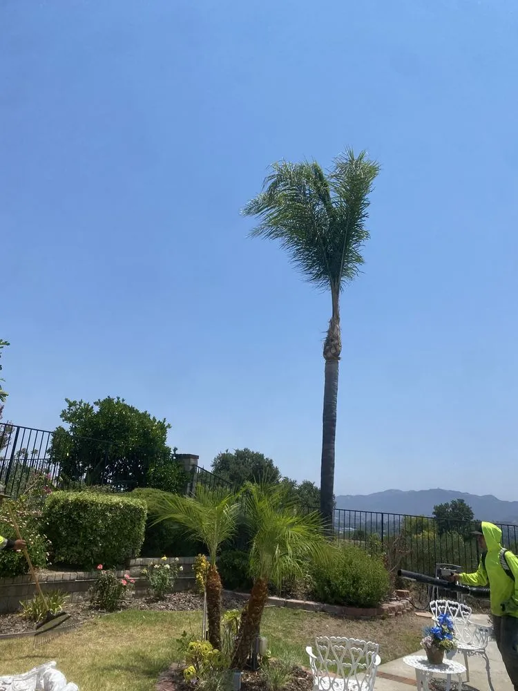 Local landscape design experts serving Newhall, CA - JR tree Service and Brush Clearance & landscape