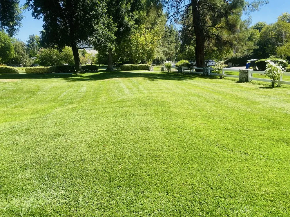 Reliable residential landscaping for residential properties across Newhall, CA - JR tree Service and Brush Clearance & landscape