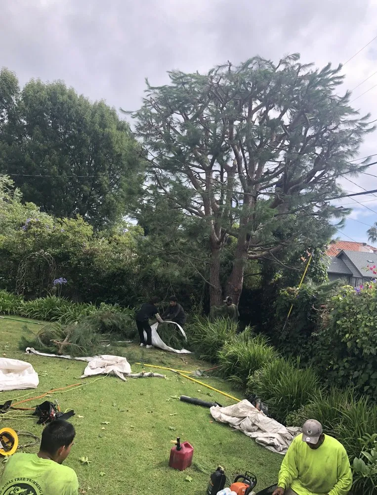 Custom yard maintenance for residential properties across Frazier Park, CA - J&R Tree Service