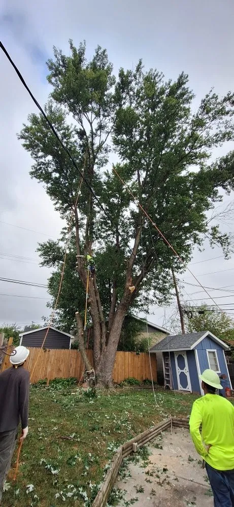 Expert outdoor landscaping in Baltimore, MD by JR Tree Service Landscape