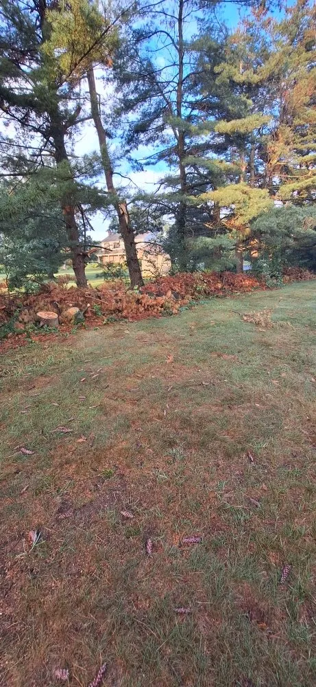 Affordable landscape installation in Baltimore, MD by JR Tree Service Landscape