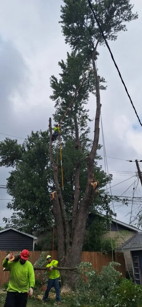 Custom garden landscaping in Baltimore, MD - JR Tree Service Landscape