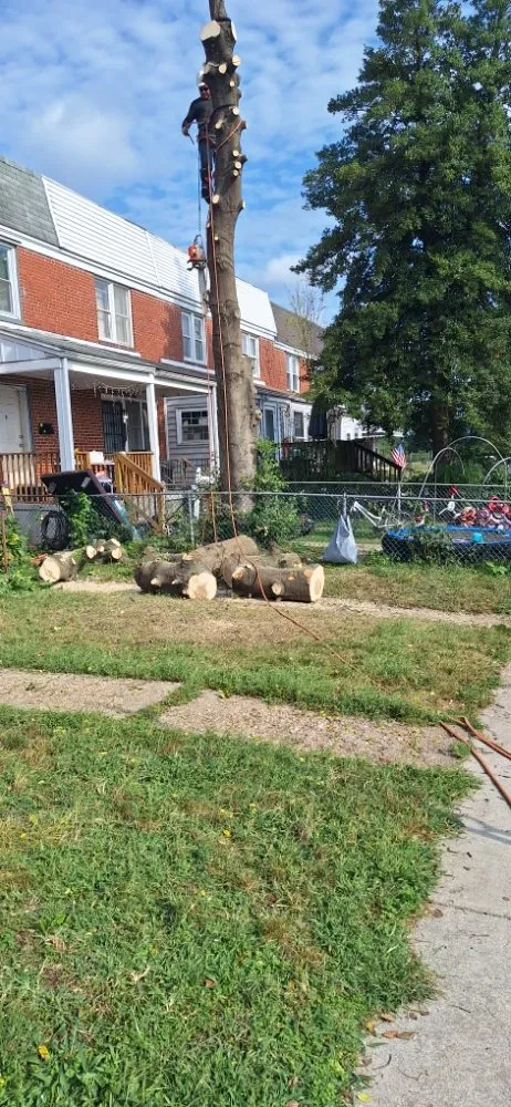 Custom landscape installation in Baltimore, MD by JR Tree Service Landscape