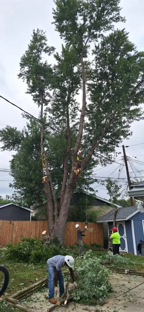 Trusted outdoor landscaping in Baltimore, MD - JR Tree Service Landscape