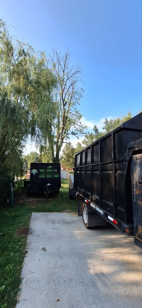 Professional landscape installation in Baltimore, MD - JR Tree Service Landscape