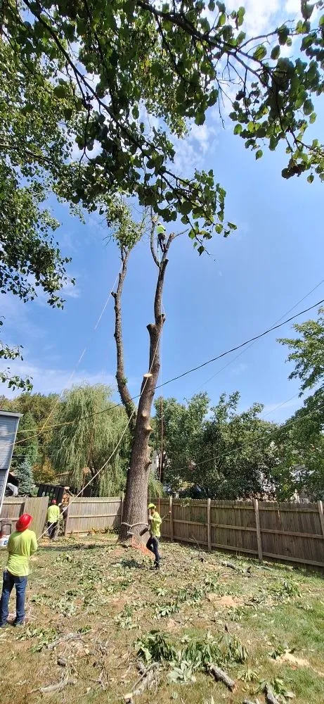 Reliable outdoor landscaping for beautiful yards across Baltimore, MD - JR Tree Service Landscape