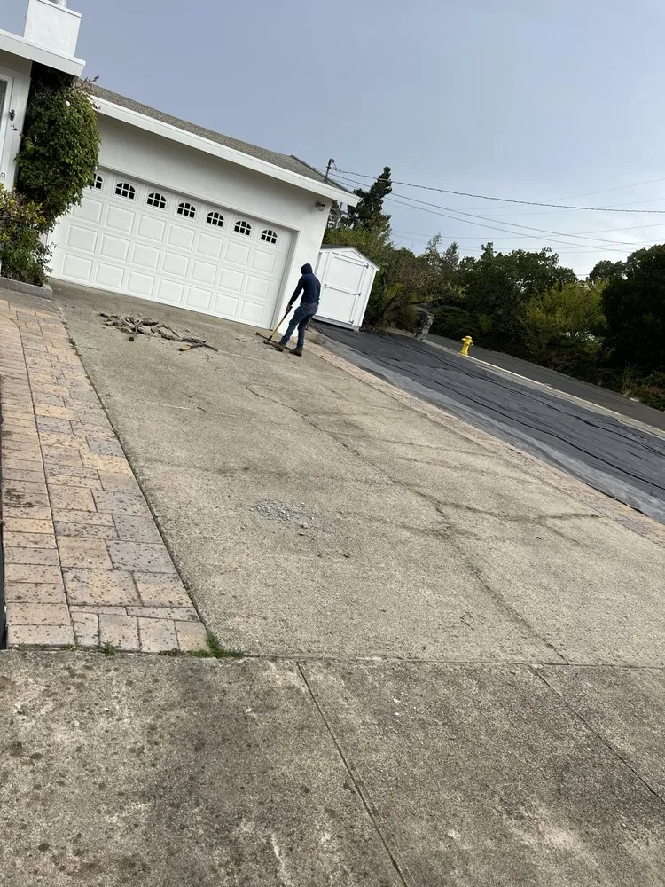 Expert lawn care service in Novato, CA - JR Tree Service