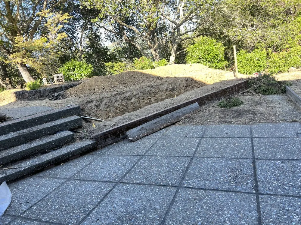 Affordable yard cleanup service in Novato, CA - JR Tree Service