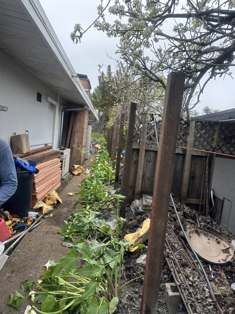 Reliable yard maintenance for beautiful yards across Novato, CA - JR Tree Service