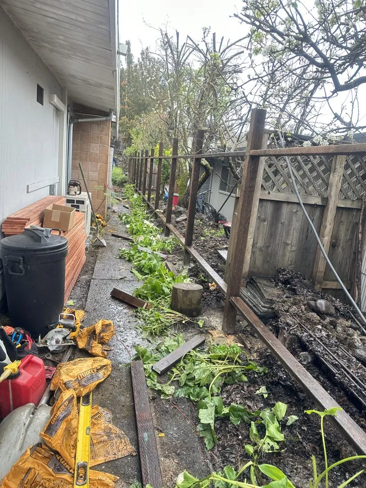 Reliable lawn care service near you across Novato, CA - JR Tree Service