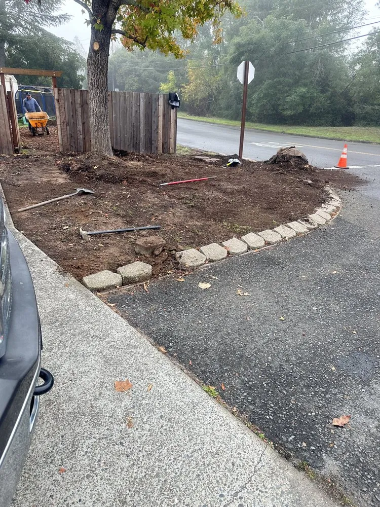 Expert landscape design in Novato, CA by JR Tree Service