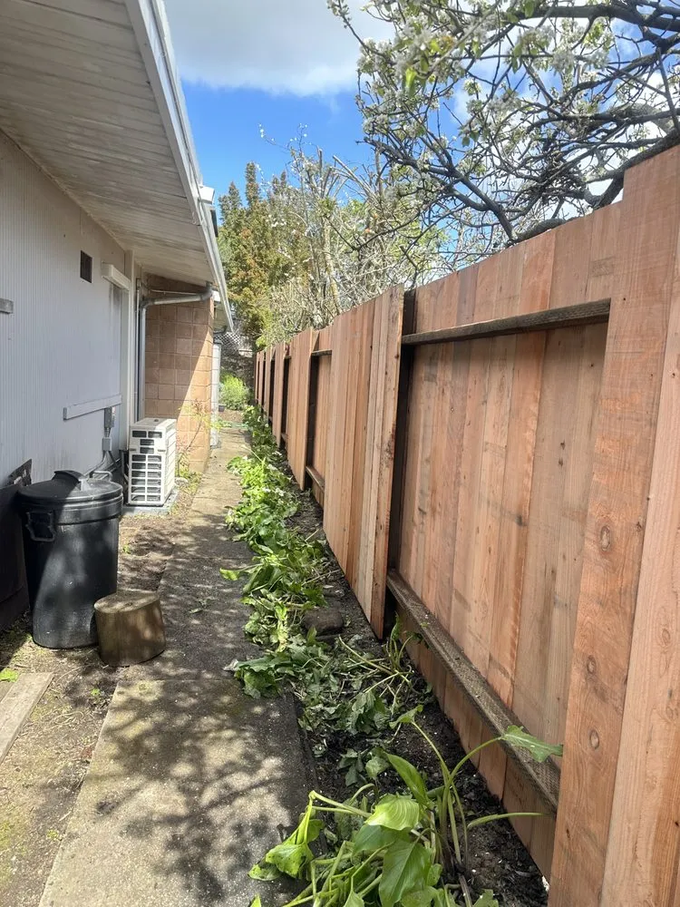 Custom yard cleanup service in Novato, CA by JR Tree Service