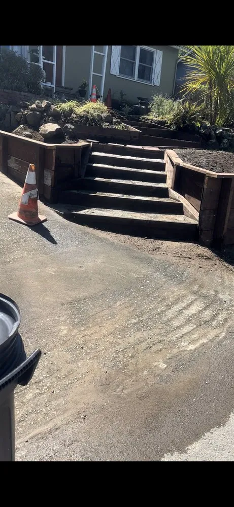 Professional yard cleanup service in Novato, CA - JR Tree Service