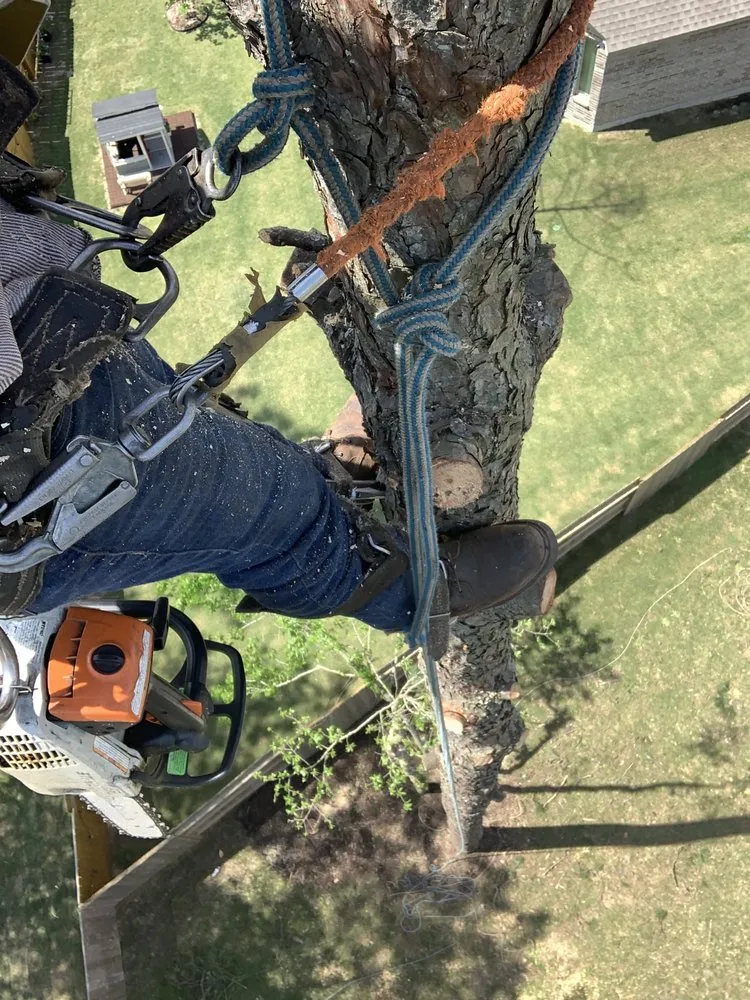 Top-rated garden landscaping for residential properties across Houston, TX - JR Tree Services and Land Clearing