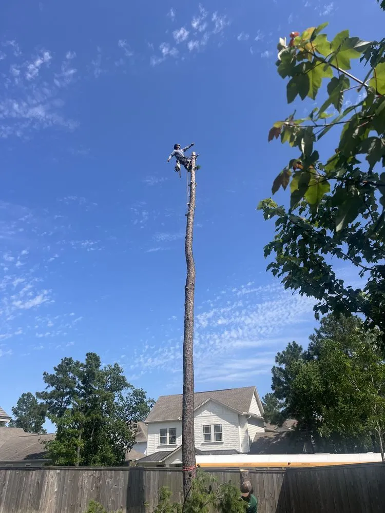 Custom lawn care service for beautiful yards in Houston, TX by JR Tree Services and Land Clearing