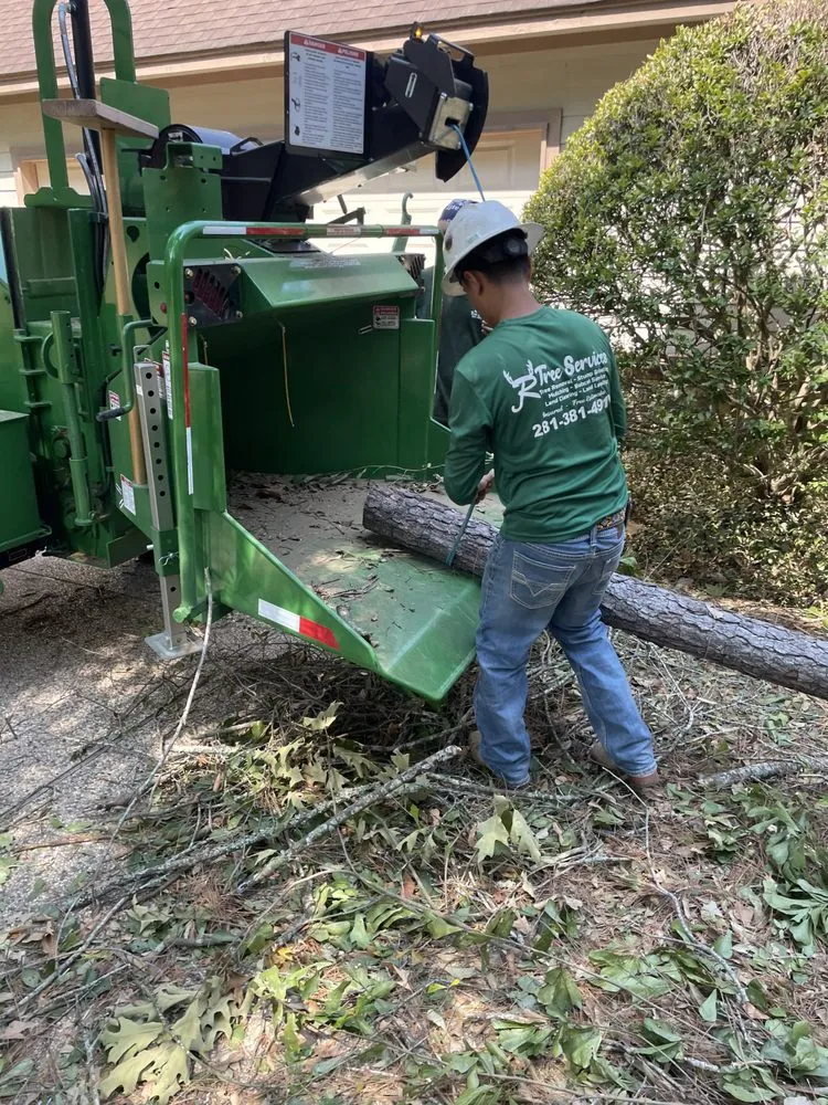 Affordable garden landscaping in Houston, TX - JR Tree Services and Land Clearing