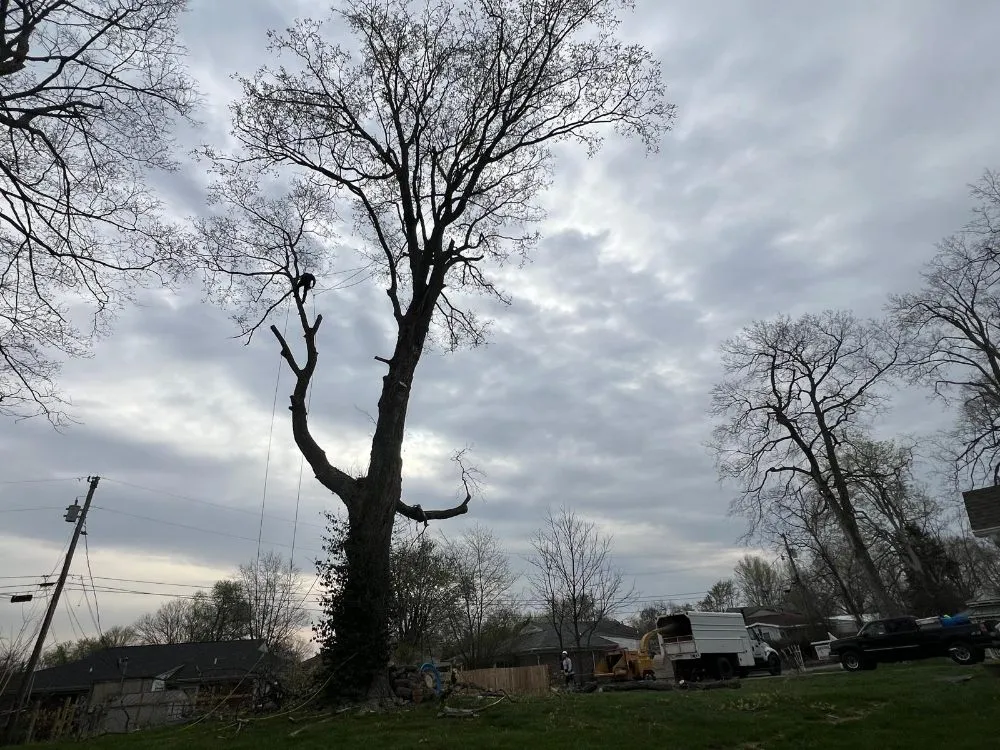 Local lawn care service for homes across Shelbyville, KY - J&R Tree Services