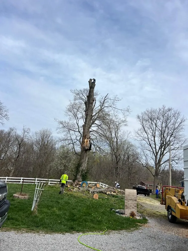 Professional yard maintenance in Shelbyville, KY - J&R Tree Services