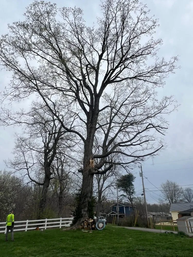 Reliable garden landscaping experts serving Shelbyville, KY - J&R Tree Services