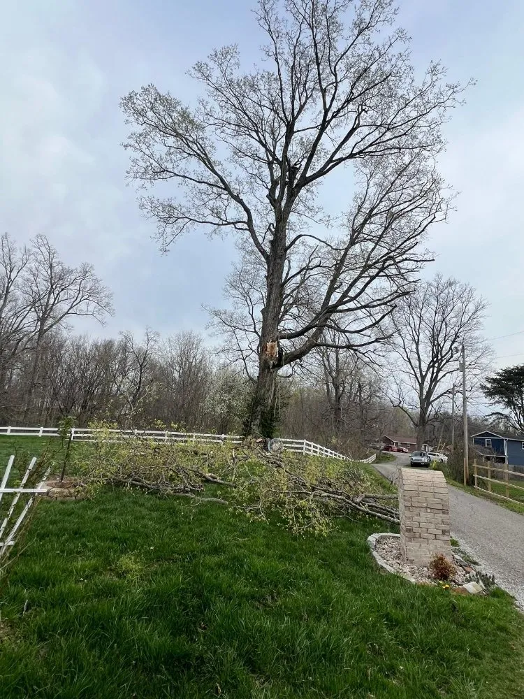 Professional landscape installation experts serving Shelbyville, KY - J&R Tree Services