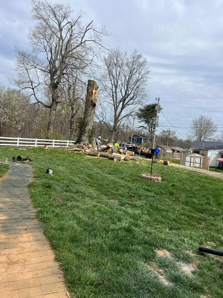 Top-rated residential landscaping in Shelbyville, KY by J&R Tree Services