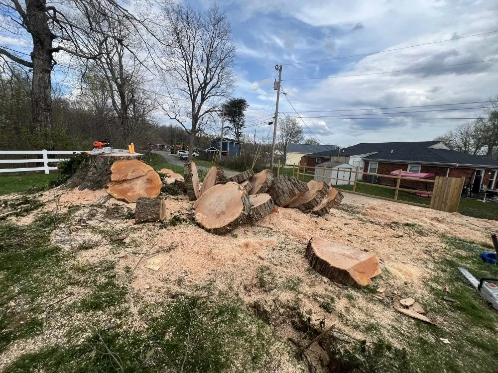 Reliable landscaping services in Shelbyville, KY by J&R Tree Services